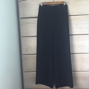 Aritzia Sabina Pants
